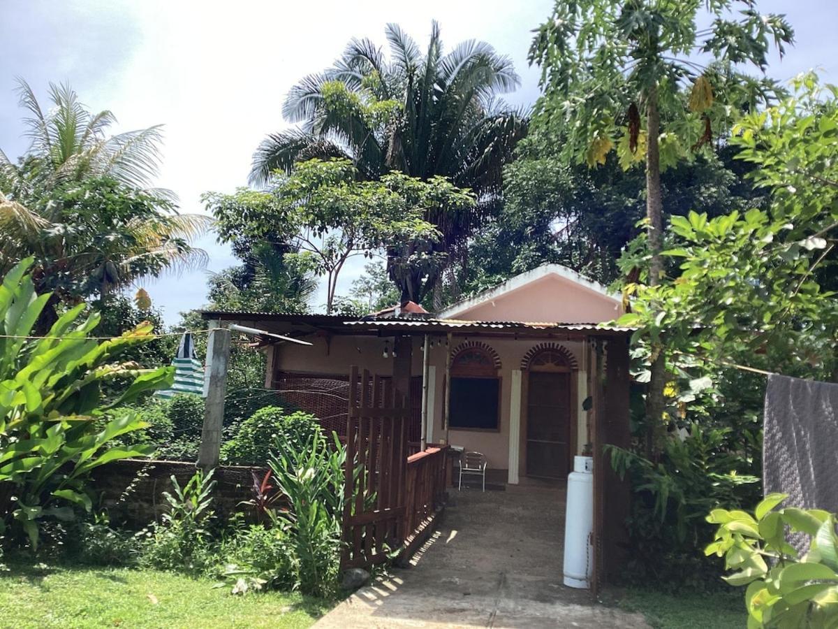 Exotic Flower Cabin2 Pool Agua Bendita Esterno foto